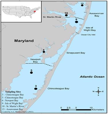 Evaluation of the relationships between physico-chemical parameters and the abundance of Vibrio spp. in blue crabs (Callinectes sapidus) and seawater from the Maryland Coastal Bays